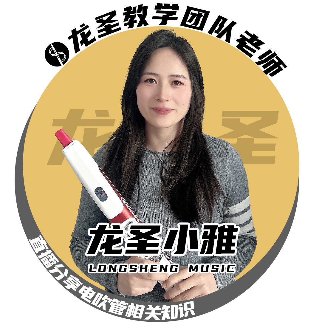 龙圣乐器专营店