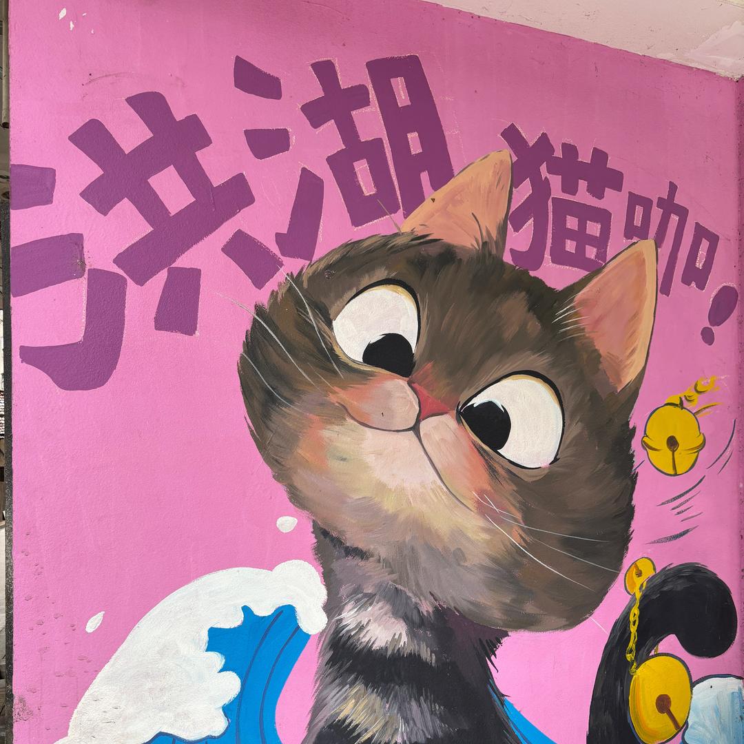 洪湖猫院长（鉴定喂养）