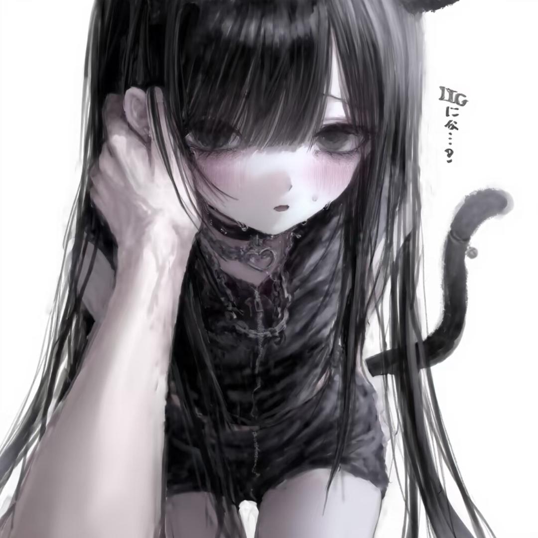 有只小猫