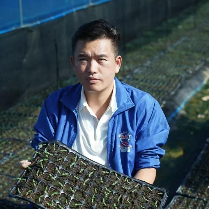 徐纪恒越种子店