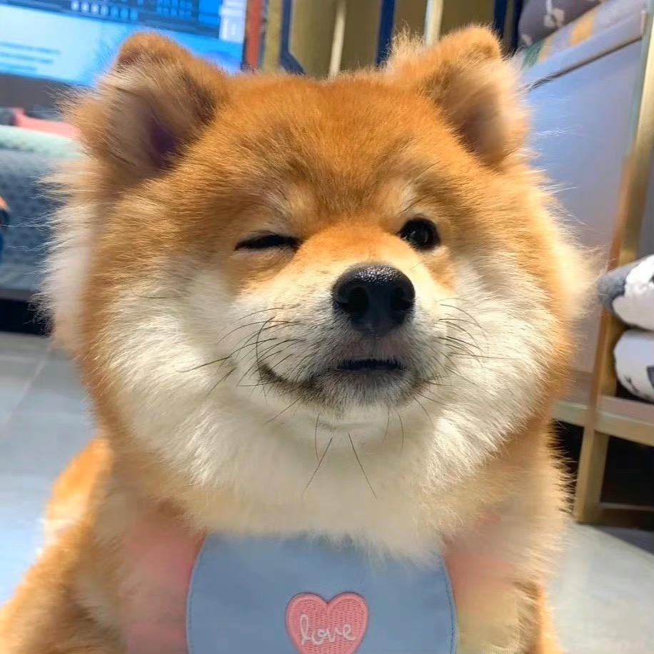 徐个愿~