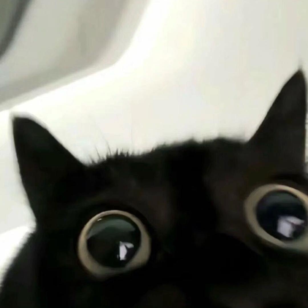 Ayao🧿