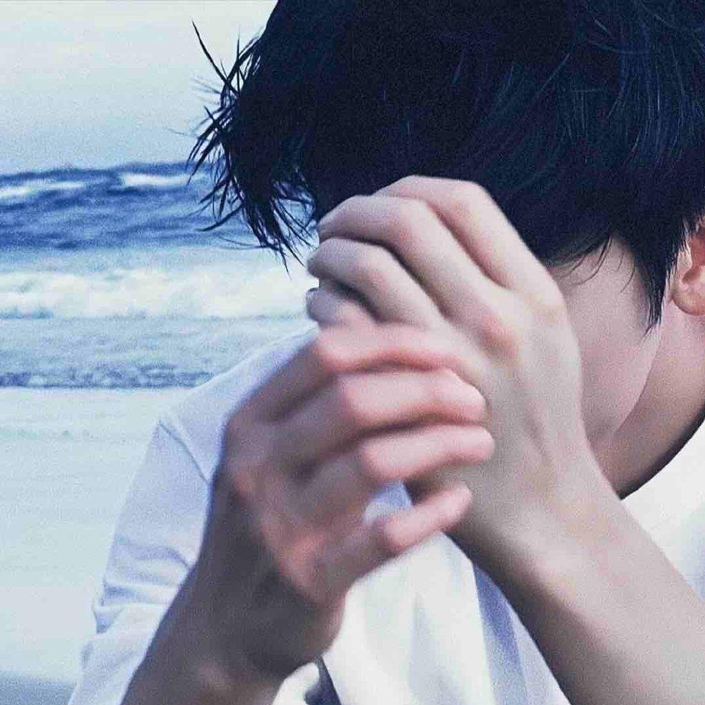 鸽子🕊️