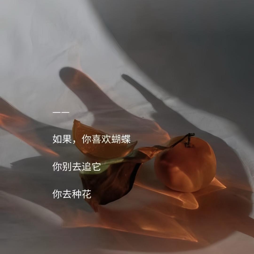 孑K.