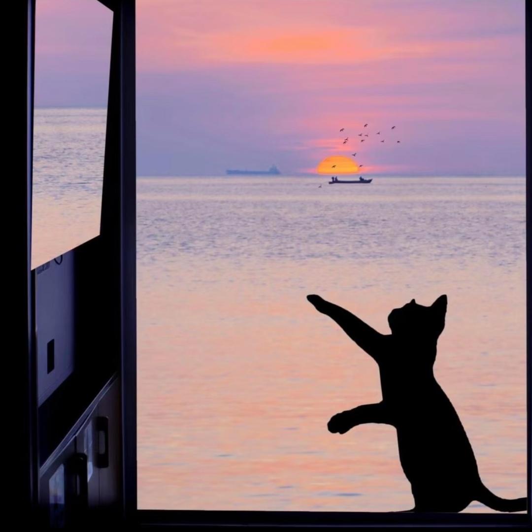 耳朵是只猫 . ♡✿❀