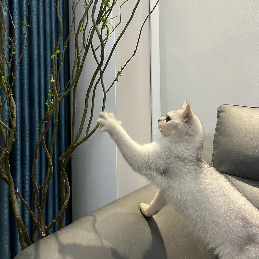 害怕冷暴力