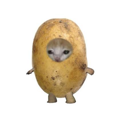 土豆条大王🥔