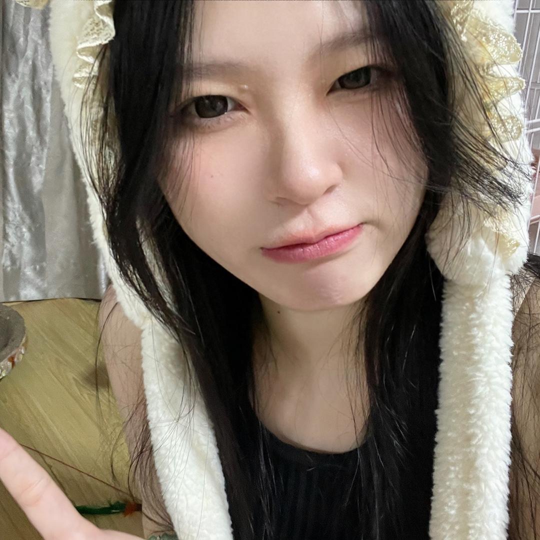 桃芒的人类观察日记