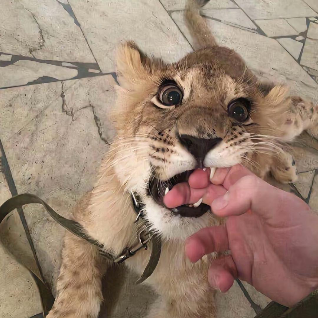 克拉克