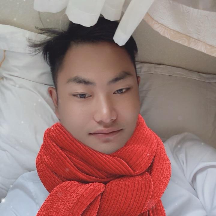 施总