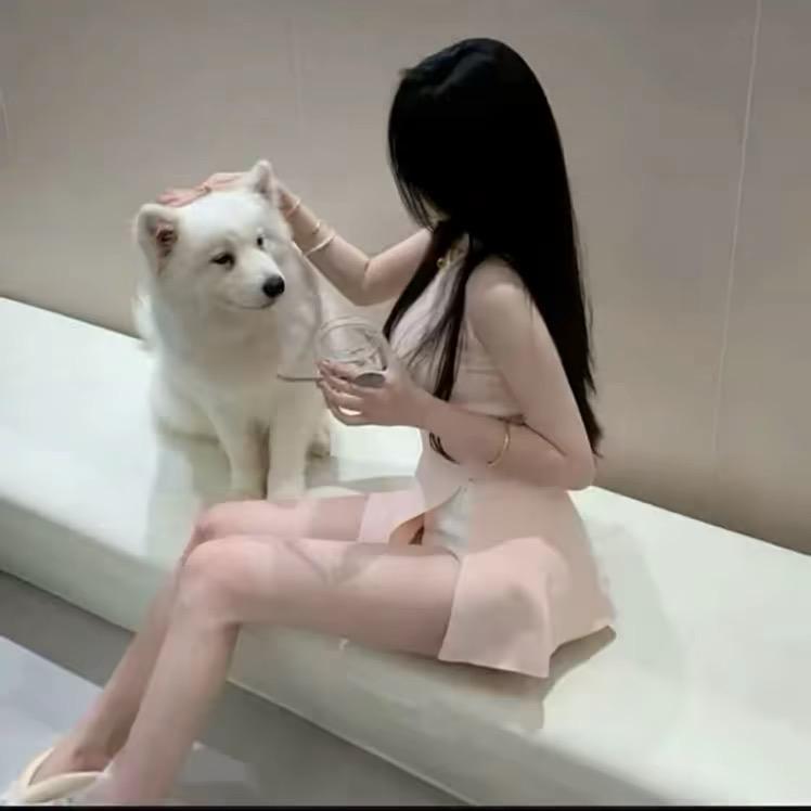 小阿乔^