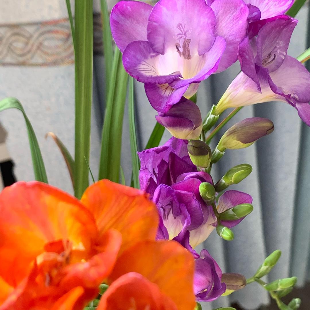 爱财爱己💃🏻