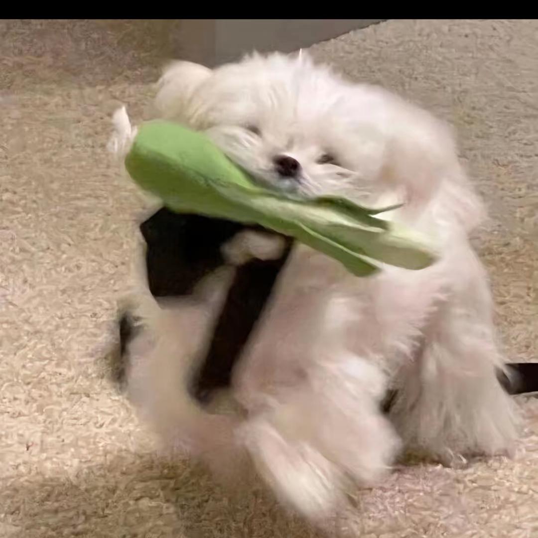 为什么不追剧