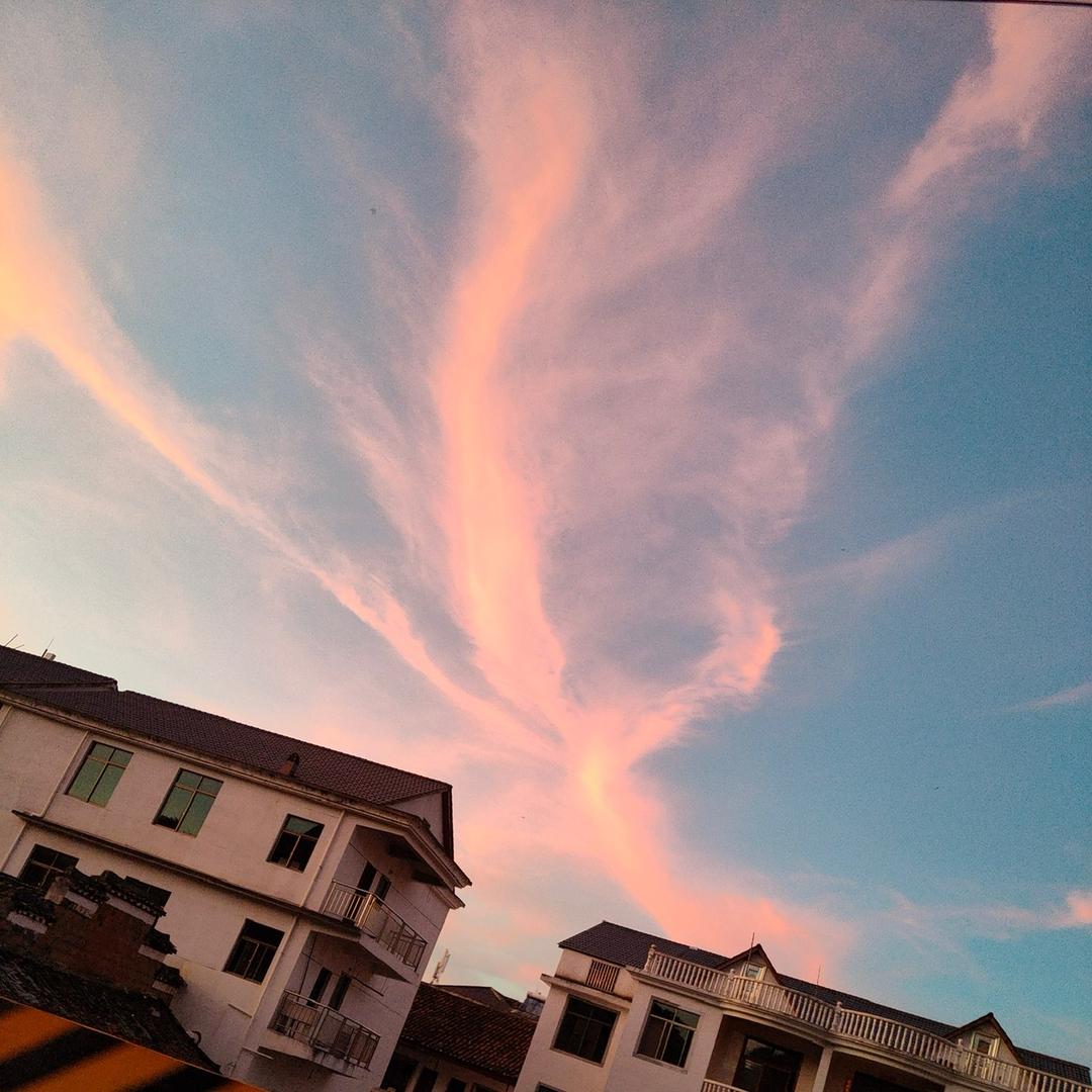 不会游泳的小鱼