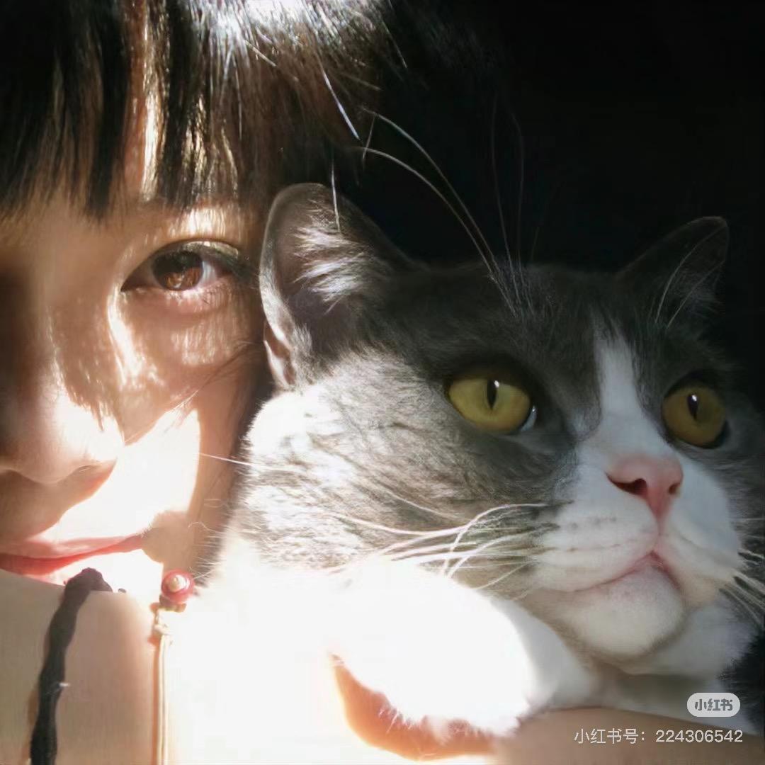 星星会眨眼