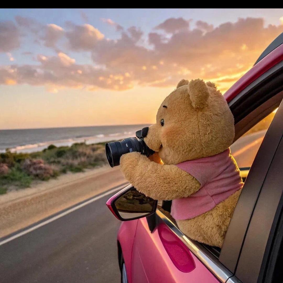 沈懒腰（孕中期）