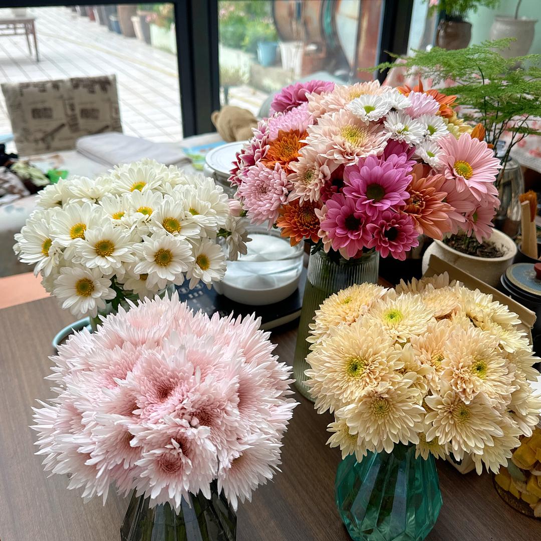 鲍莉的露台花园