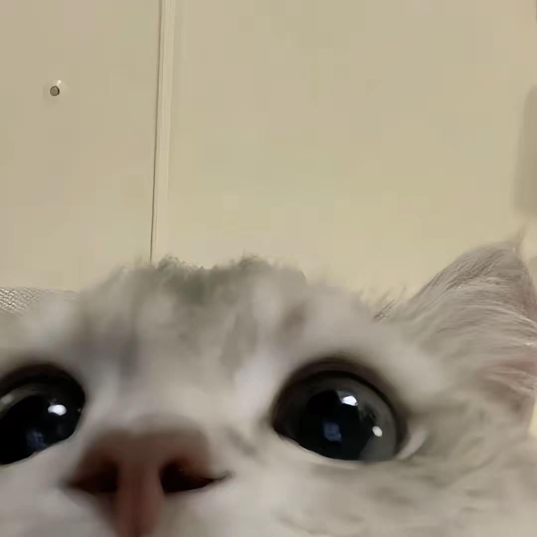 你的梦