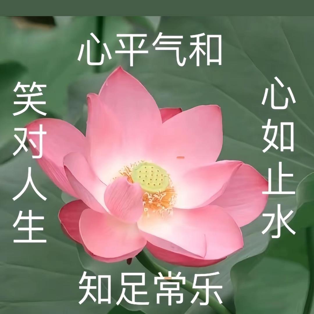 幸运星精选