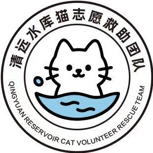 清远水库猫志愿者团队
