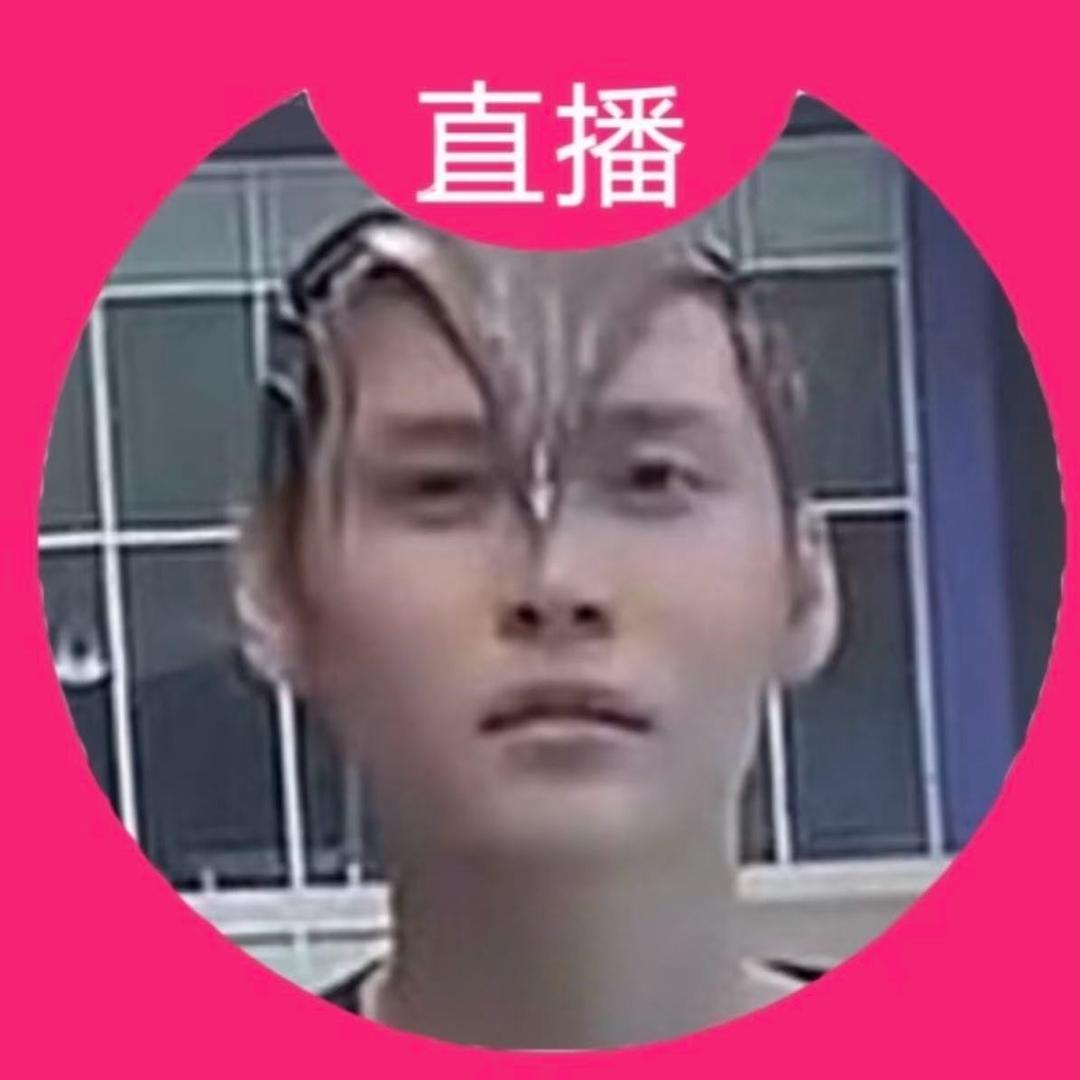 银色石子守护者