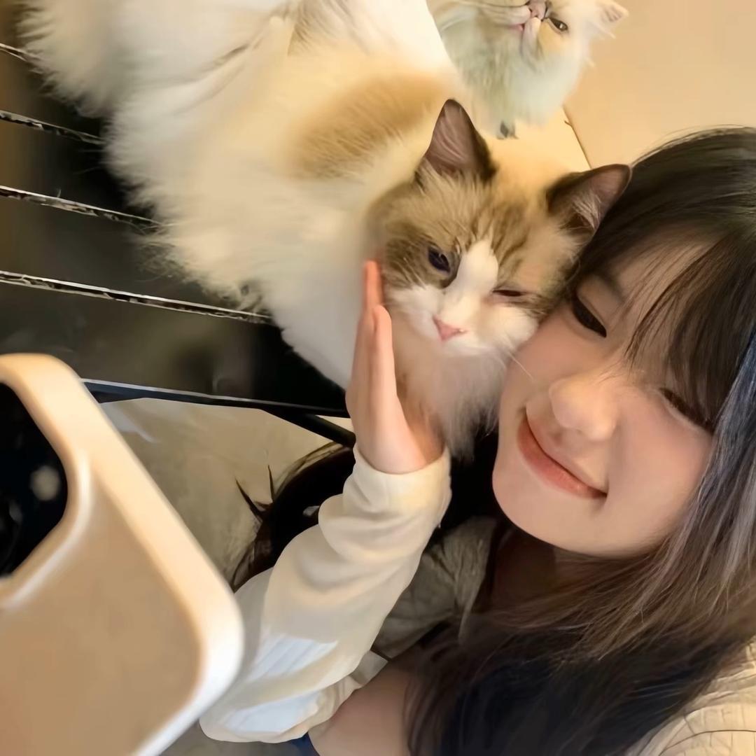 ๑ᵒᯅᵒ๑