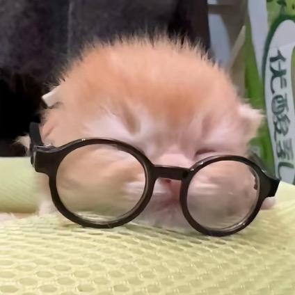 弱水三千