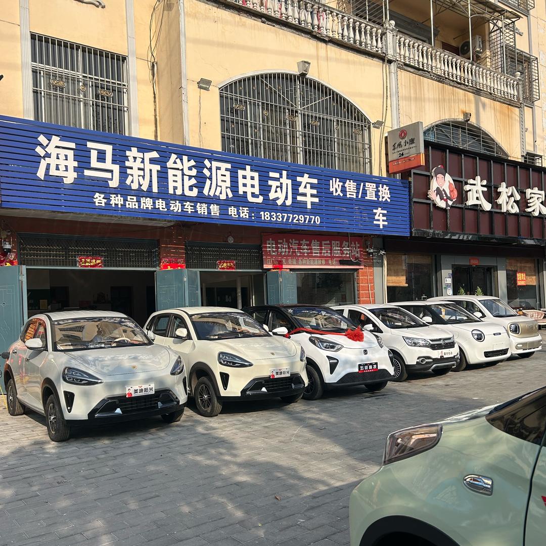桐柏县海马新能源电动汽车行