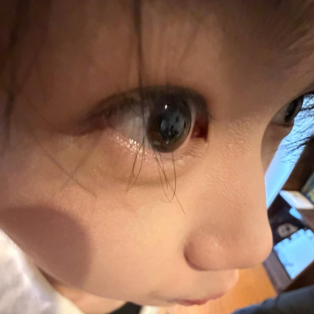 条条乐