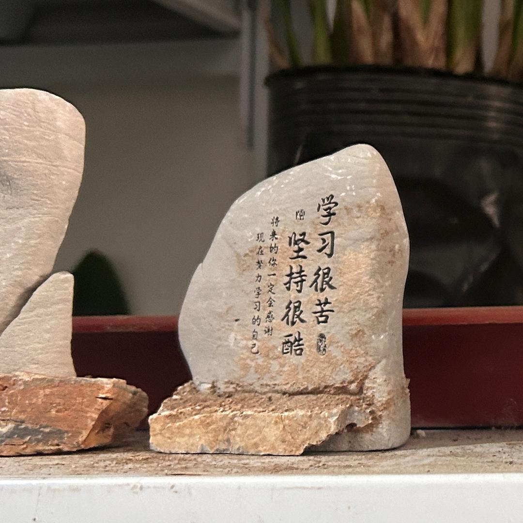 小珑在学习