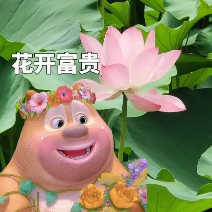 风雨彩虹铿锵玫瑰🌹