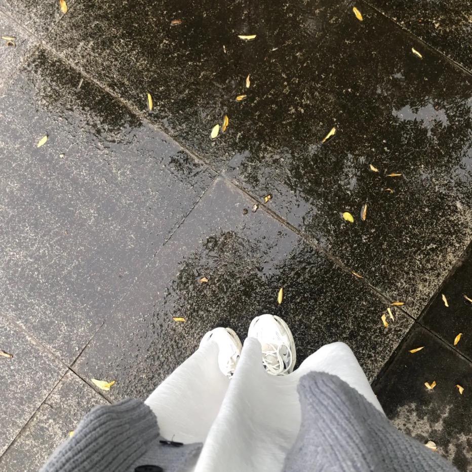 🍂🍂