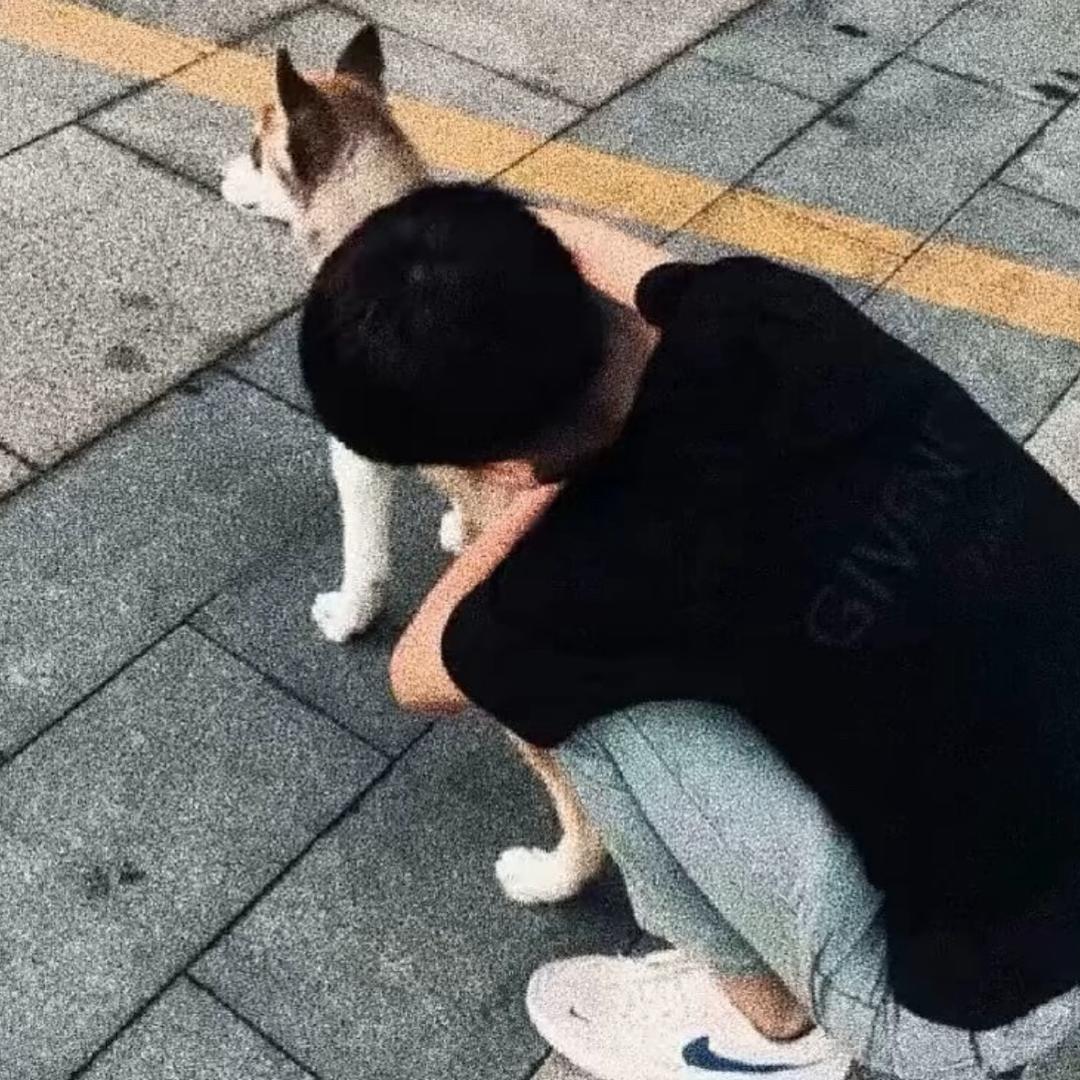 谕