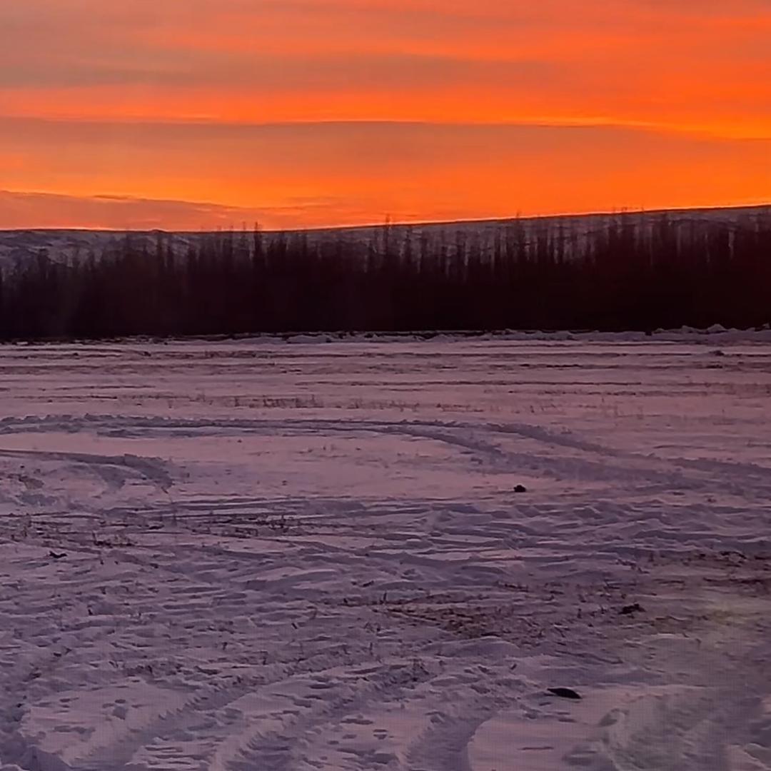 一本正经地胡说八道
