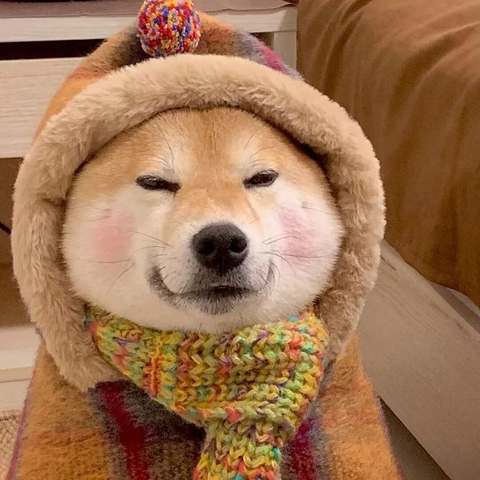 巴格维剧场头像