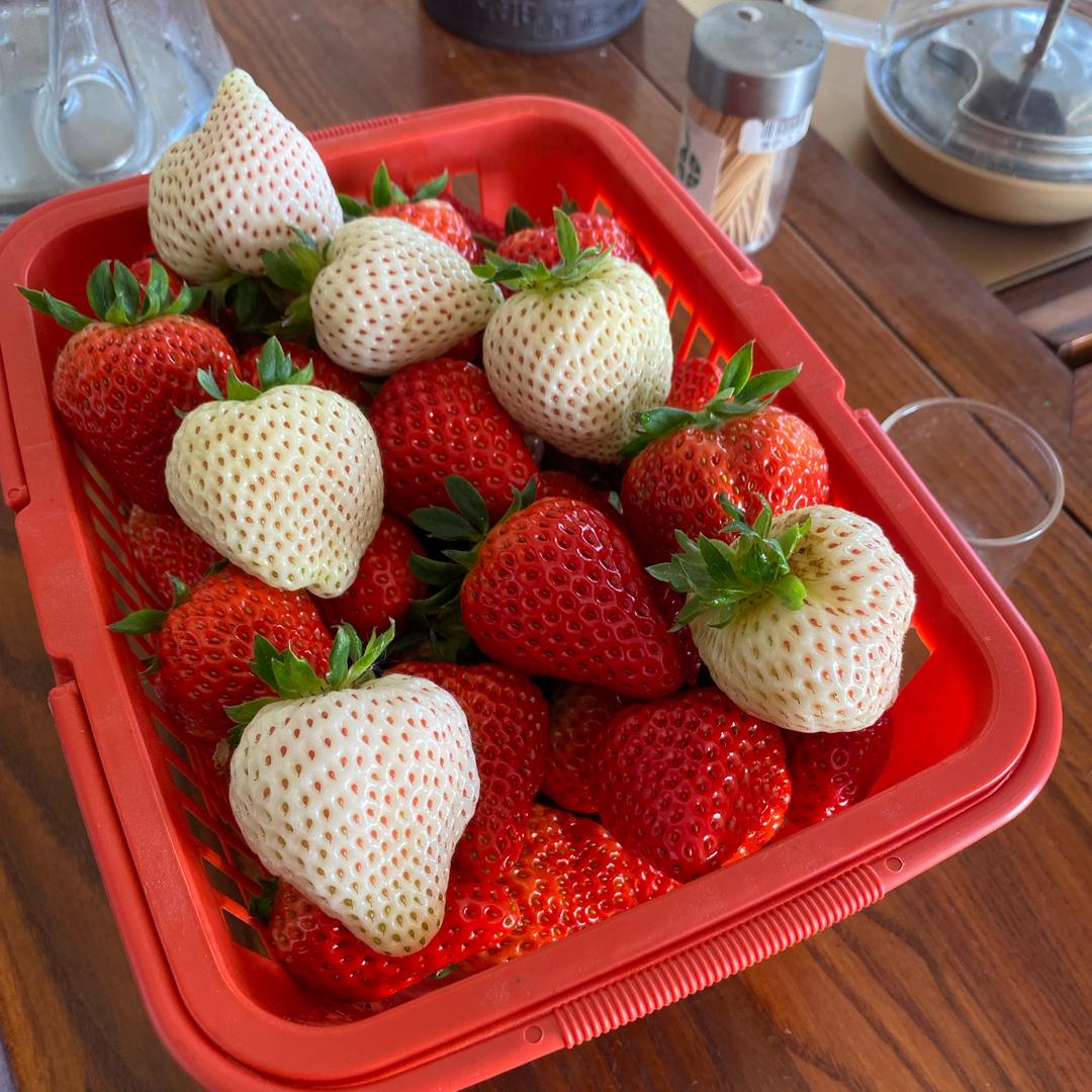 聚宝采摘园（当季草莓）