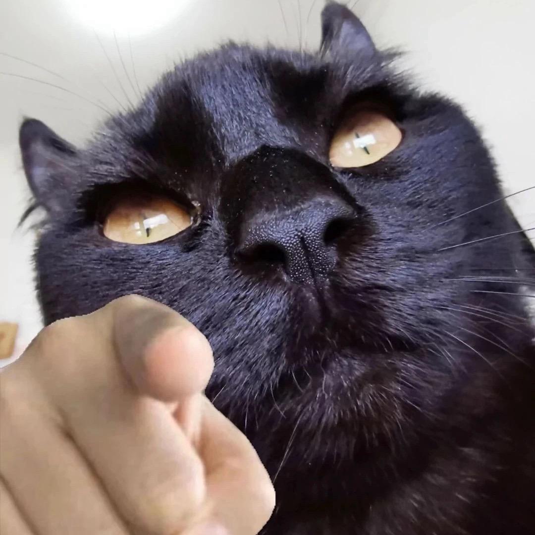 刘大本事