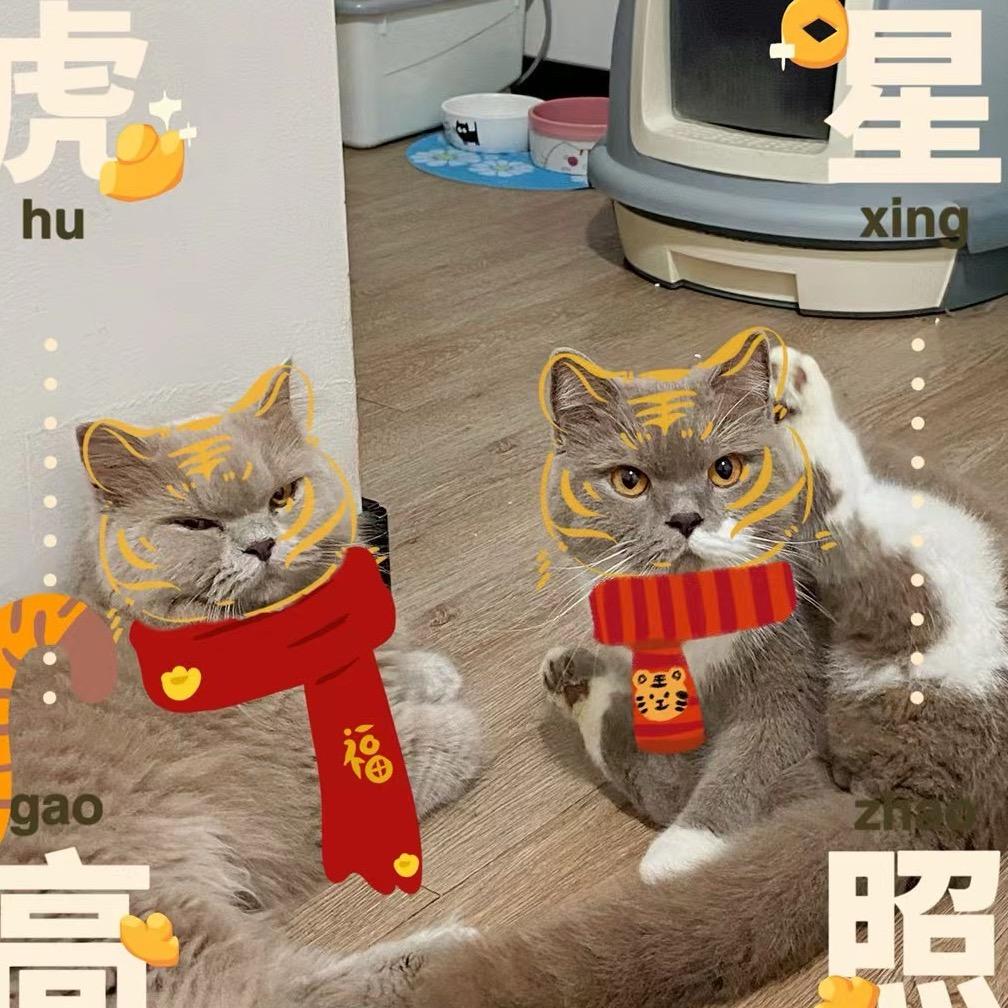 浪锅锅🫕