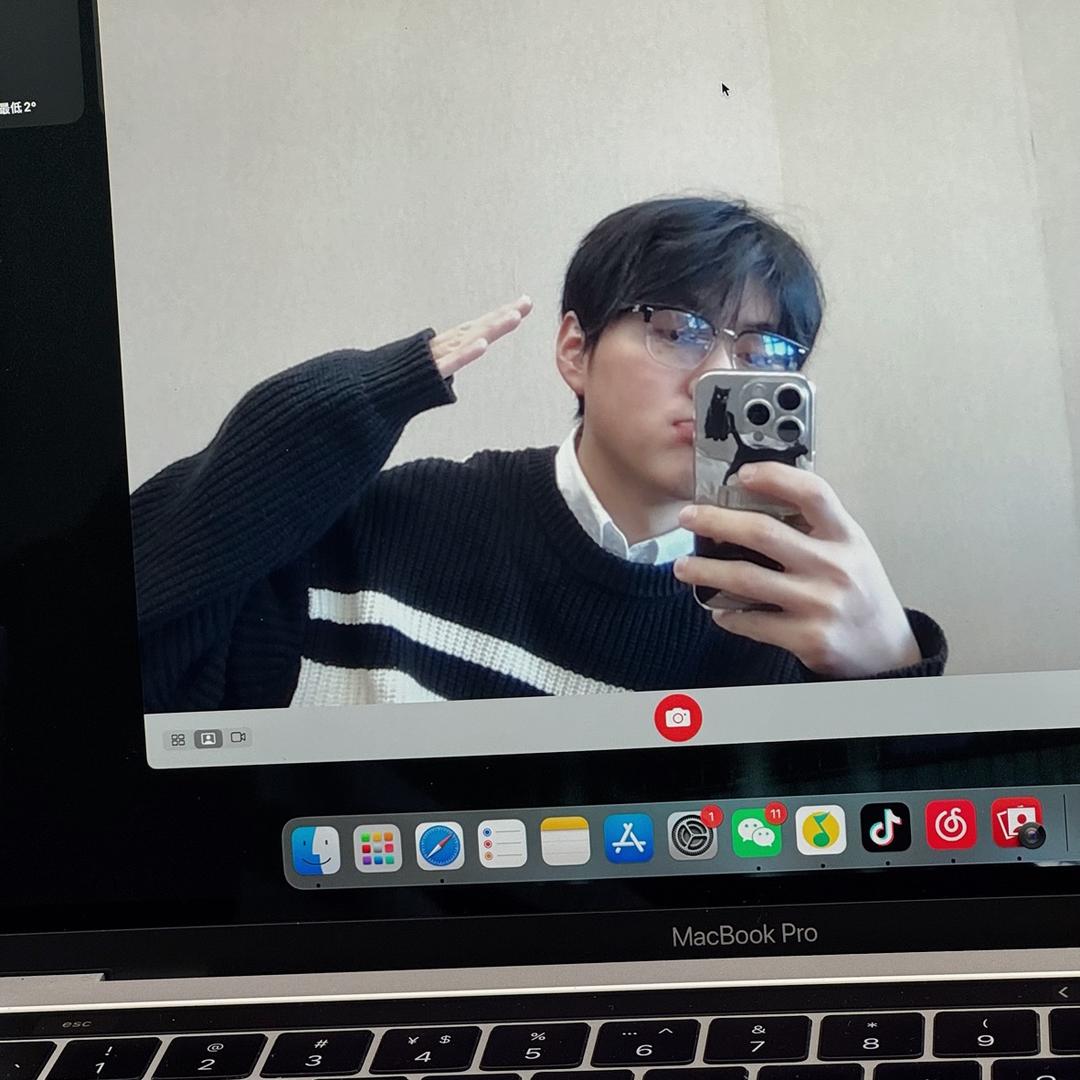 一只特立独行的🐷