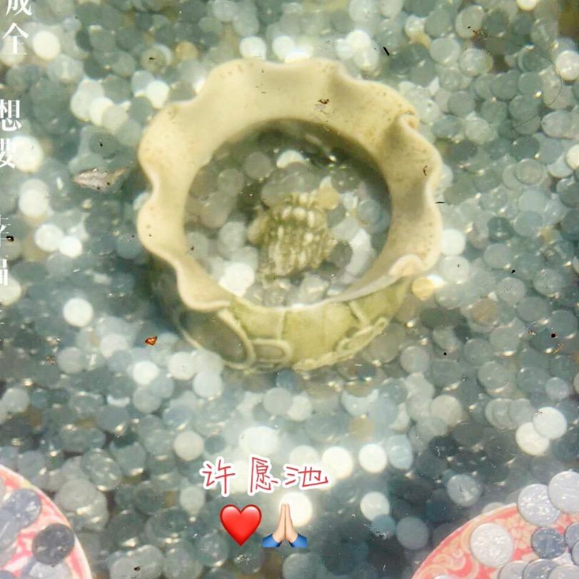 拥抱太阳☀️❤️平平安安❤️