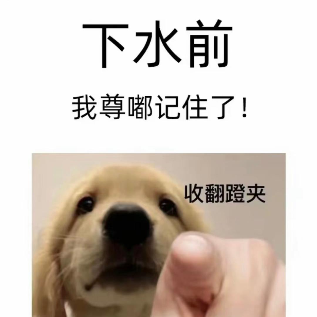 小海星游泳培训-程嘉俊