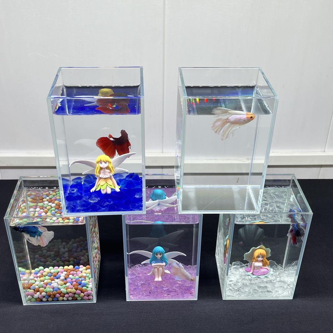 光华水族工厂店
