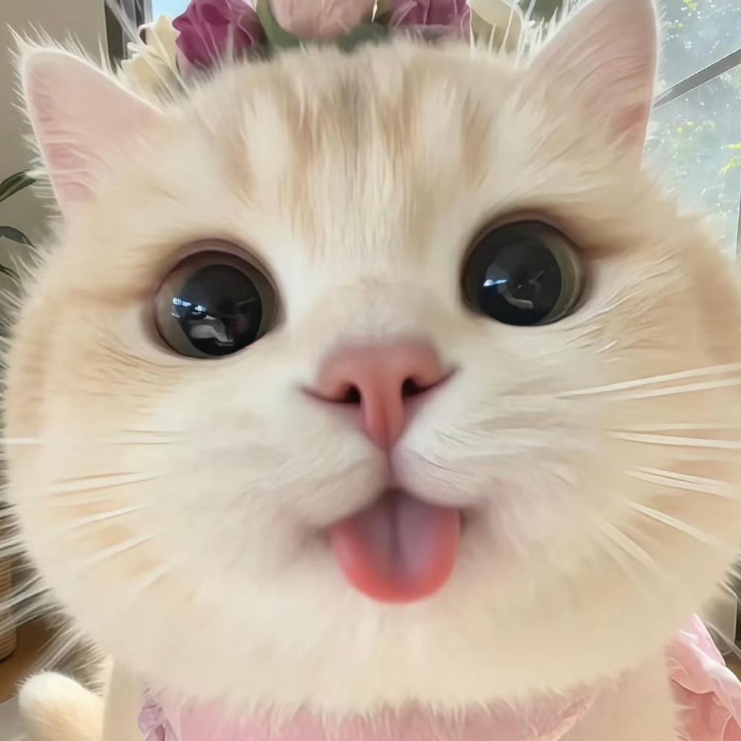 小栗子🌰
