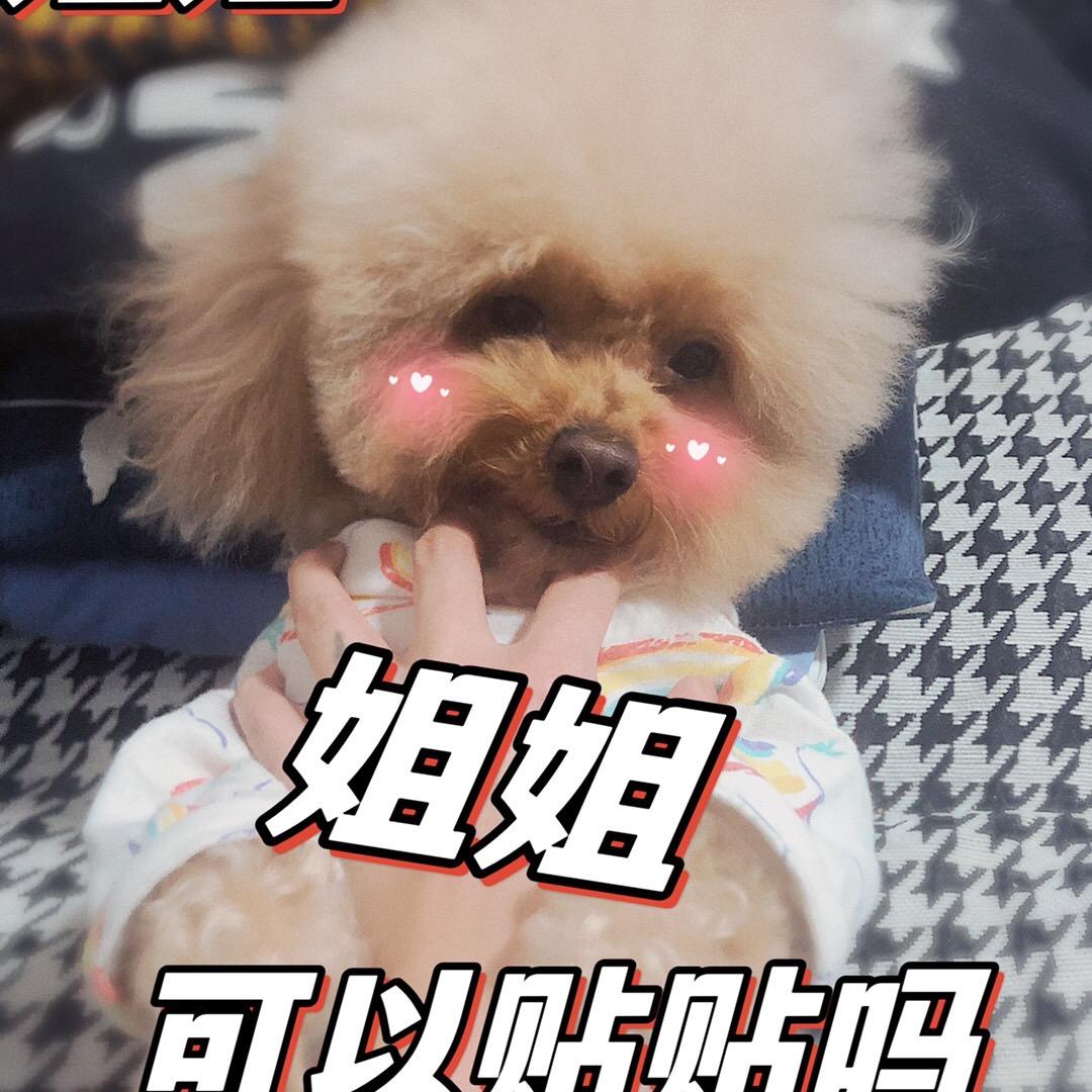 情到深处人孤独