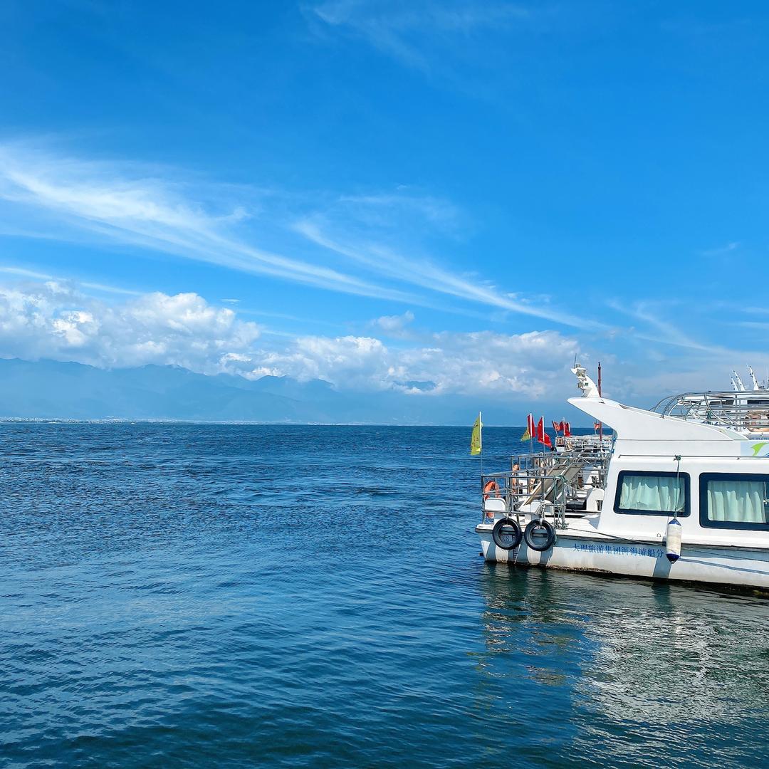 🌈乔不吃香菜🐑。