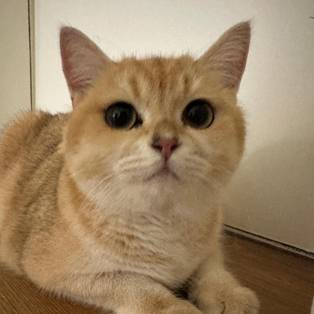 诚识的鑫鑫精品阁