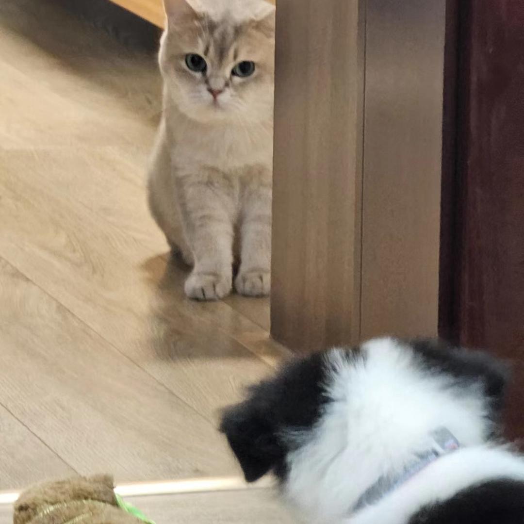 奔驰安徽鹏龙融富-李健