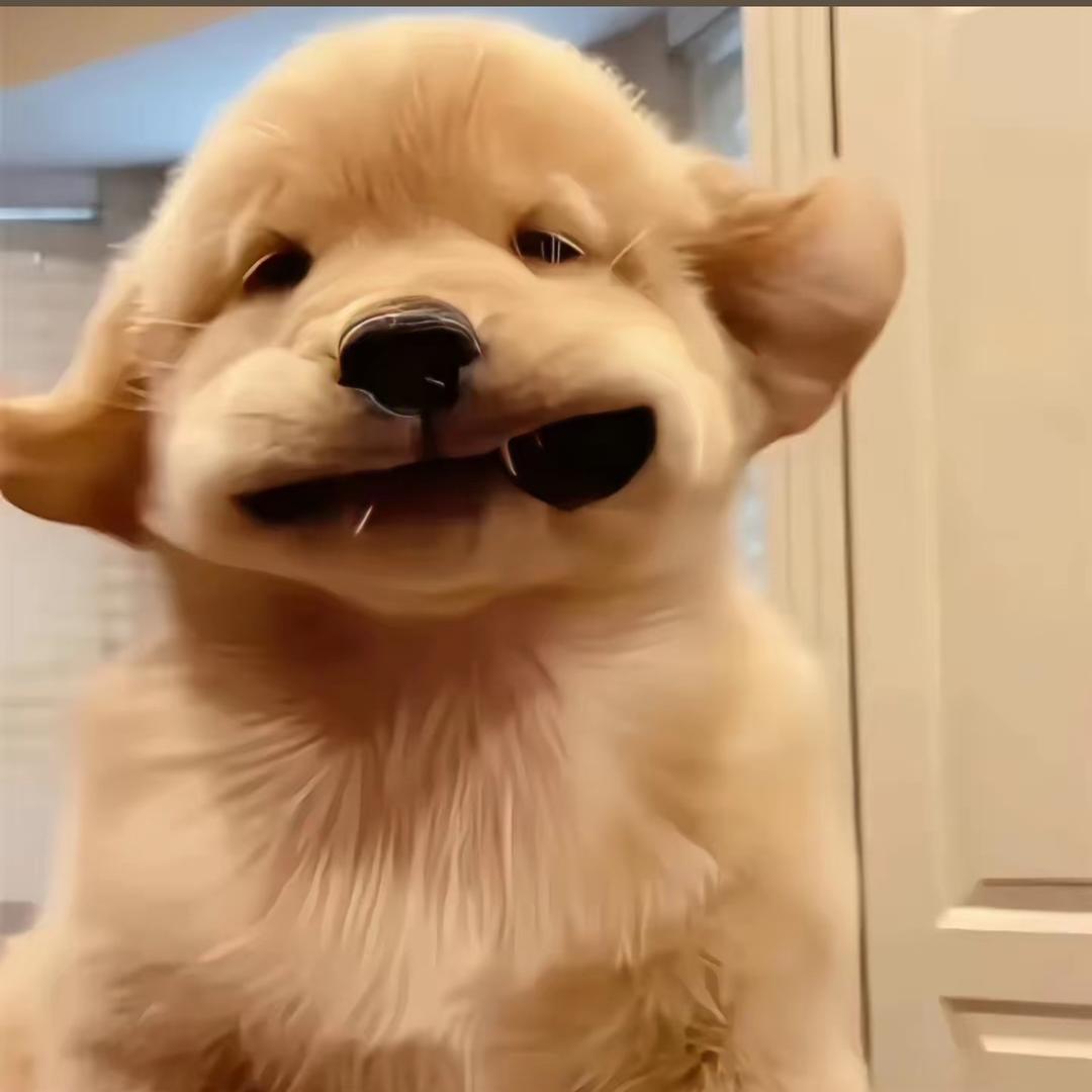 靓仔