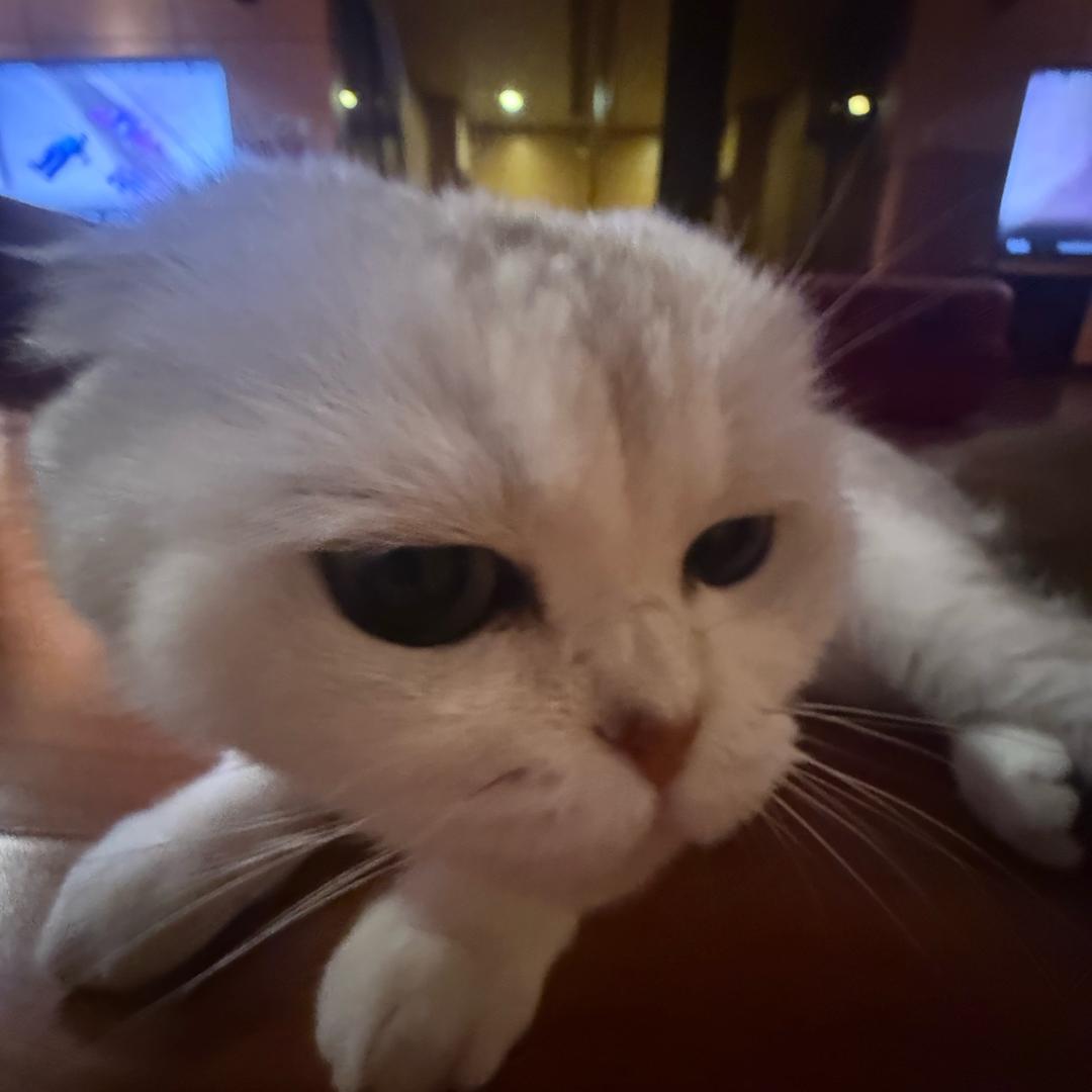 小北