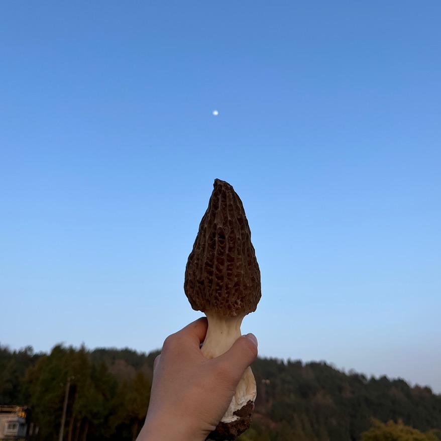 徐徐的发财日记